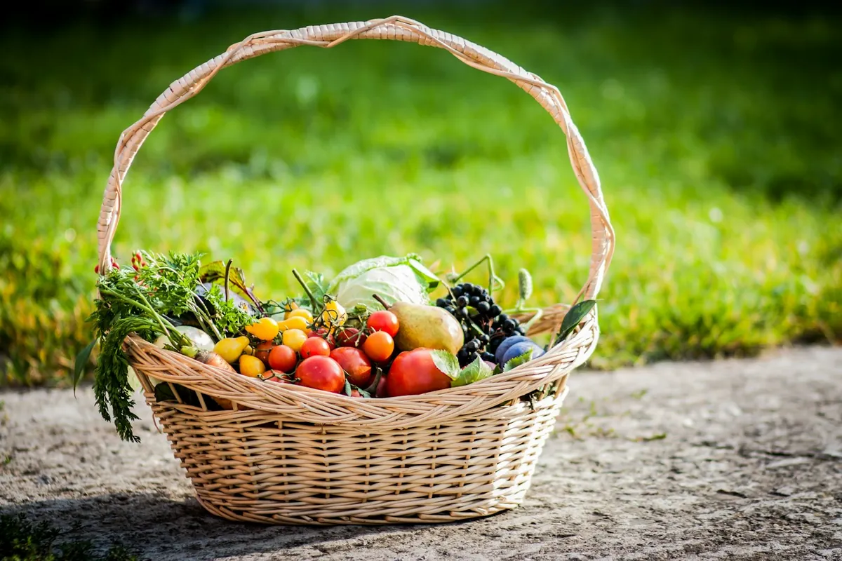 Rieten mand met verse groenten en fruit in het gras
